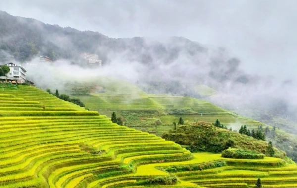 Day 1: Guilin Arrival