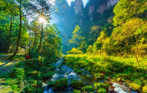 Tag 2: Zhangjiajie Nationalpark