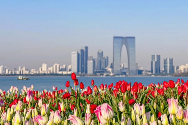 Day 2: Suzhou Departure