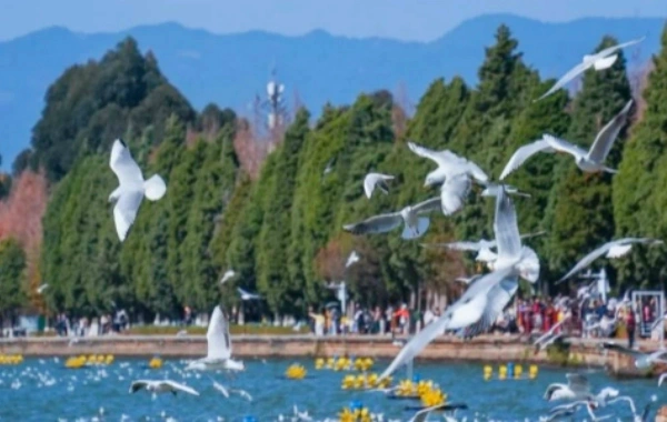 Jour 1: Arrivée de Kunming