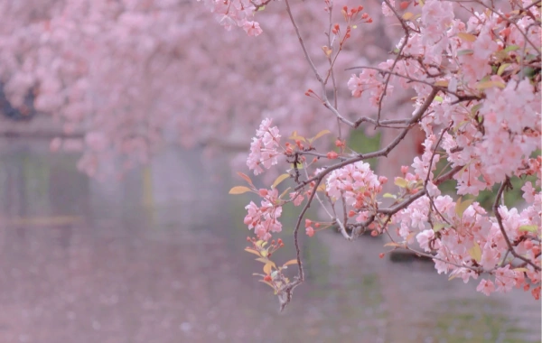 Jour 1:Kunming Arrivée