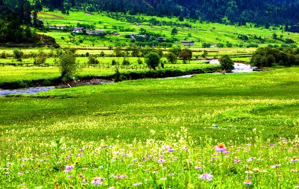 Jour 7 : Shangri-La Départ