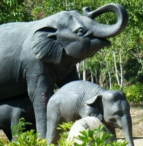 4-Day Xishuangbanna Trip