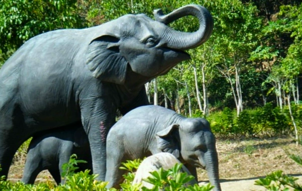 4-Day Xishuangbanna Trip