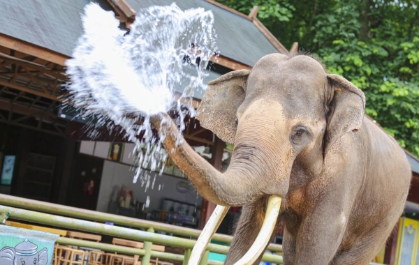 Day 2: Xishuangbanna