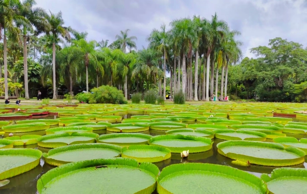 Day 3: Xishuangbanna