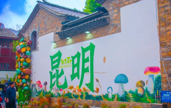 1-Day Trip to Kunming(The Stone Forest. )