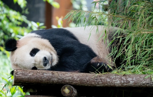 День 3: Куньмин