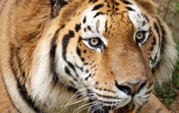 День 3: Куньмин